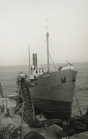 albatros.jpg