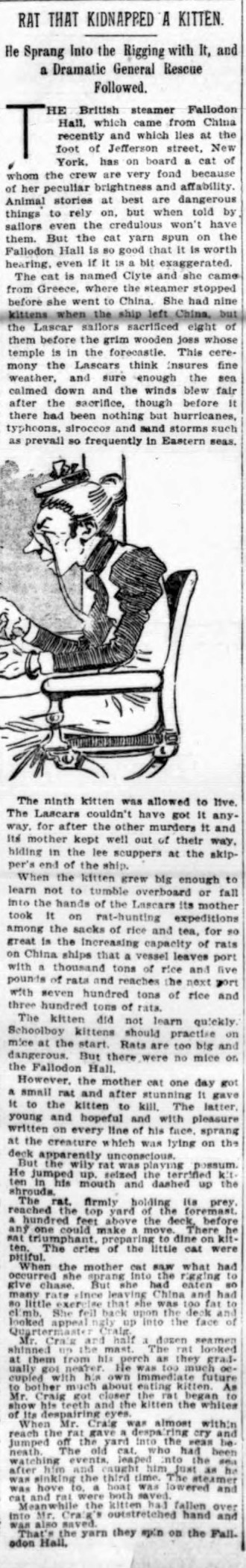 Old Fulton NY Post Cards By Tom Tryniski