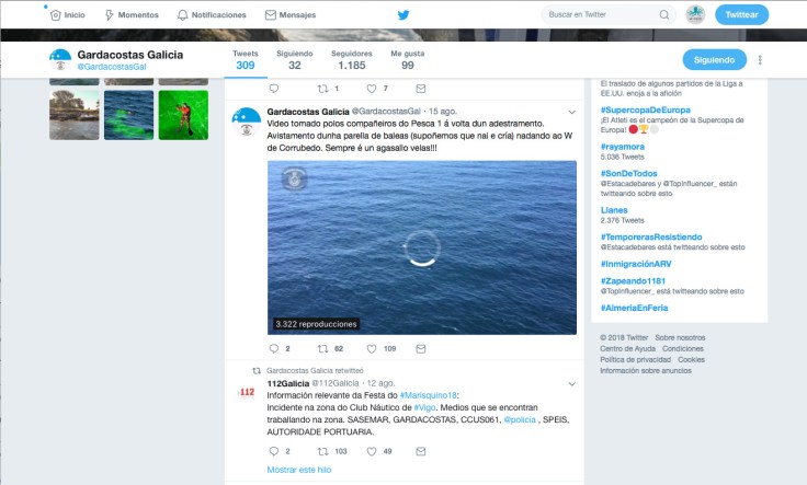 ballenas-gardacostas-corrubedo