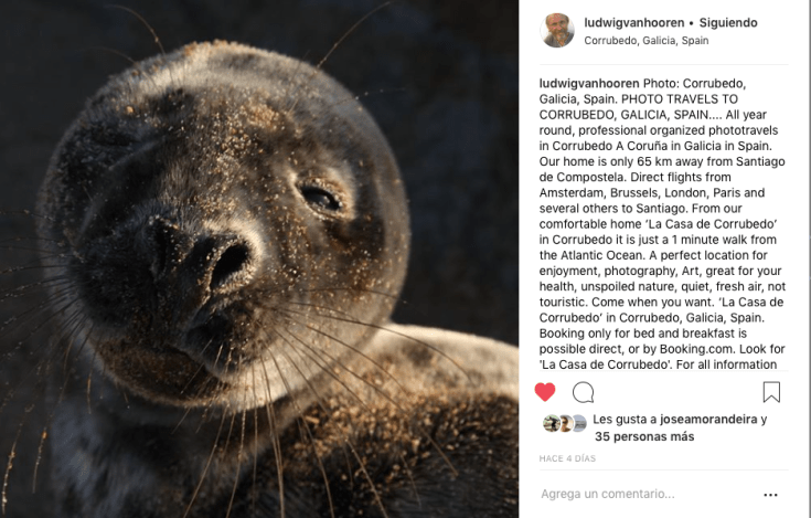foca-balieiros-instagram.png