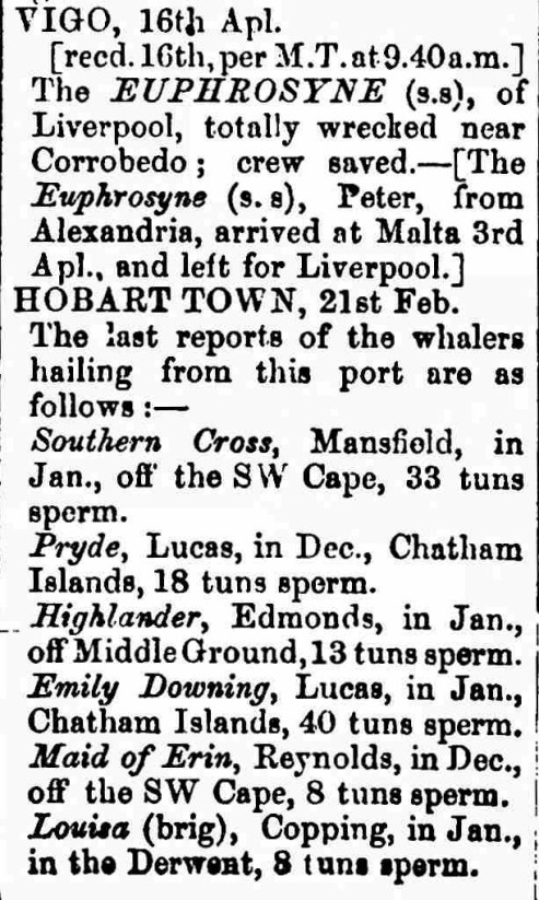 euphrosune-corrubedo-london-evening-standard